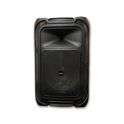 PARLANTE LEIYON BX1253 12 40W - NEGRO