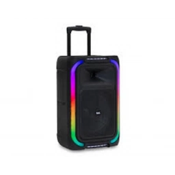 PARLANTE LEIYON BX1253 12 40W - NEGRO